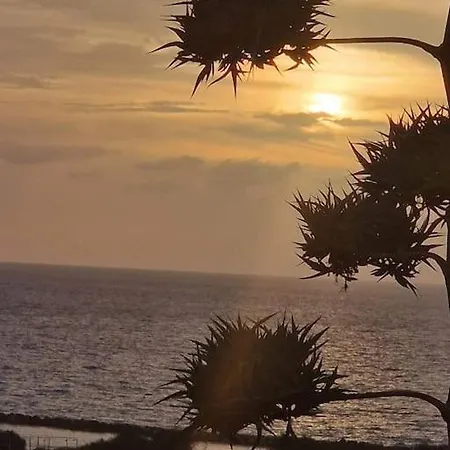 Venus 2 Bedrooms * Paphos