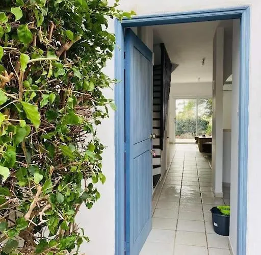 Venus 2 Bedrooms Daire