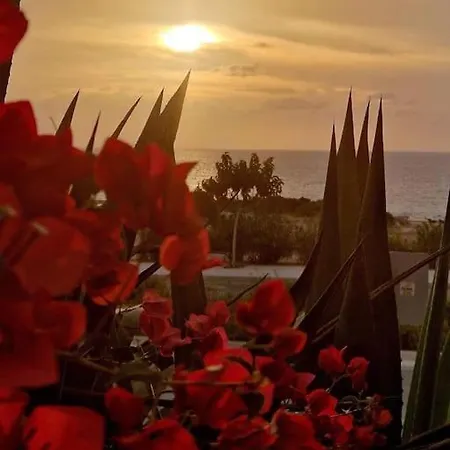 Venus 2 Bedrooms Apartment Paphos