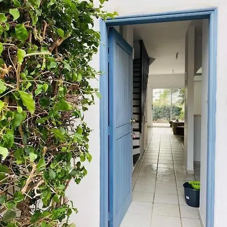 Venus 2 Bedrooms شقة